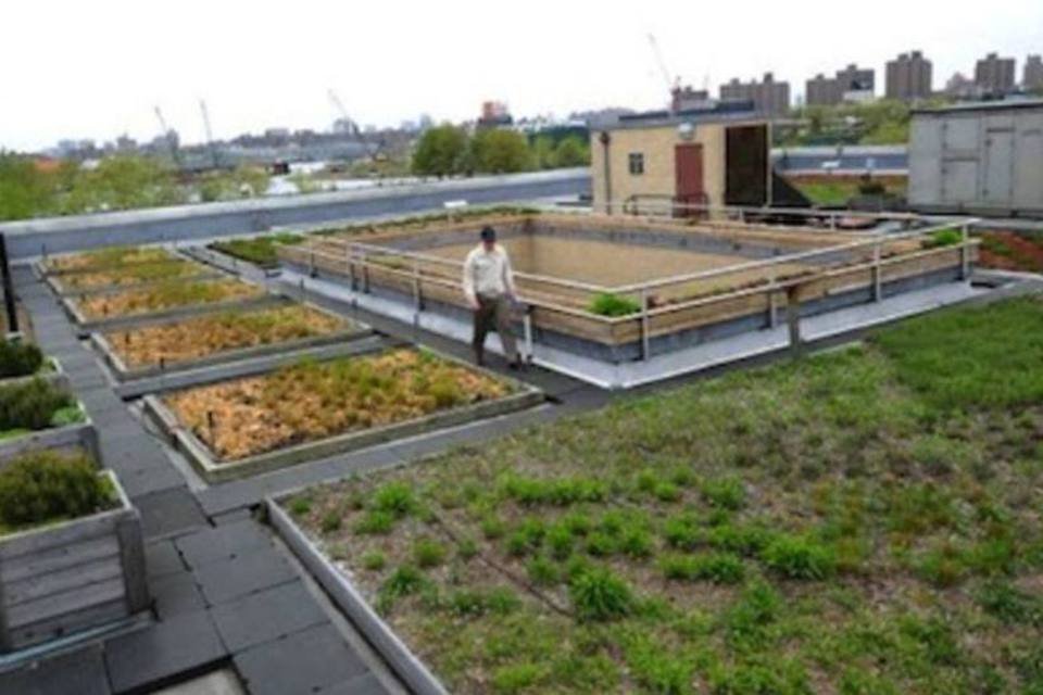 Telhados de Nova York se transformam em fazendas