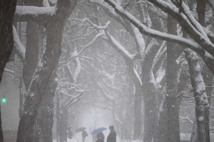 
	Pessoas caminham no Central Park enquanto neva em Nova York: no entanto, as tempestades de inverno tamb&eacute;m tiveram efeito positivo sobre a demanda por produtos ligados ao clima&nbsp;
 (Carlo Allegri/Reuters)