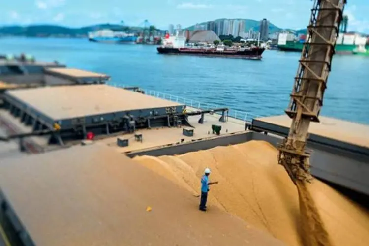 
	Terminal de soja no porto de Santos: para 2012, a Codesp estima que as exporta&ccedil;&otilde;es por Santos totalizem cerca de 71,6 milh&otilde;es de toneladas
 (Germano Lüders/EXAME.com)