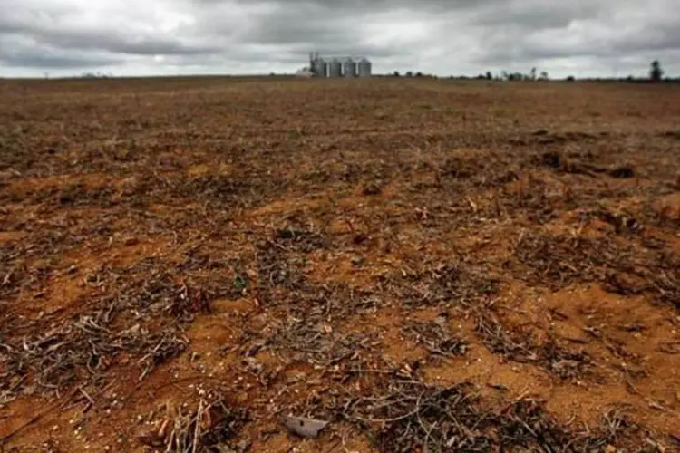 
	Desmatamento no Par&aacute;: a degrada&ccedil;&atilde;o e perda de biodiversidade j&aacute; atingem 23% dos solos globais
 (Mario Tama/Getty Images)