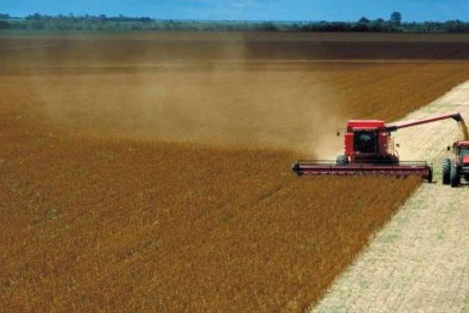 Brasil lidera fornecimento de soja para a China em 2014