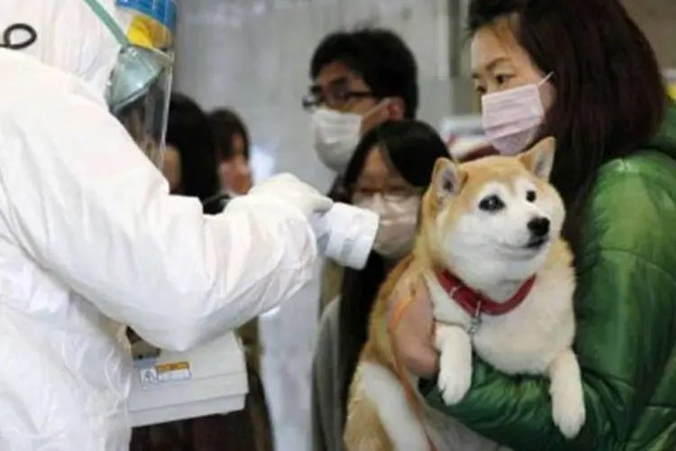 Mulher suspeita de contaminação por radiação é examinada próximo a Fukushima, no Japão (AFP)