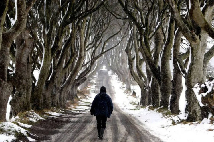 Game of Thrones: algumas cenas de Winterfell são gravadas no Parque Tollymore Forest (Paul Faith/AFP)
