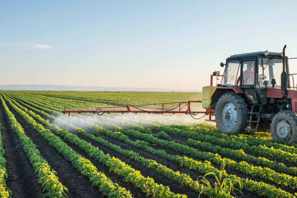 Menos de 1% das propriedades detém quase metade da área rural