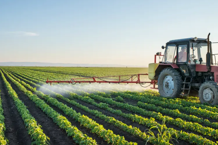 
	Agricultura: MP permite a emiss&atilde;o de Certificado de Direitos Credit&oacute;rios do Agroneg&oacute;cio e de Receb&iacute;veis do Agroneg&oacute;cio com corre&ccedil;&atilde;o pela varia&ccedil;&atilde;o cambial de outras moedas
 (Thinkstock/ fotokostic)