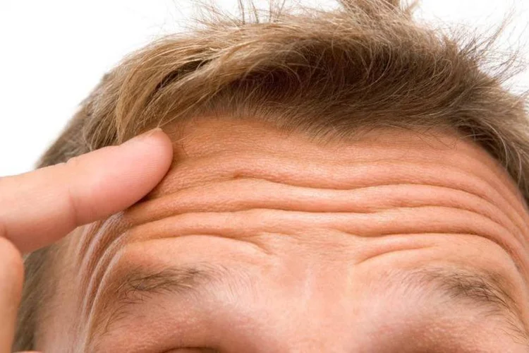 testa (Thinkstock/BananaStock)