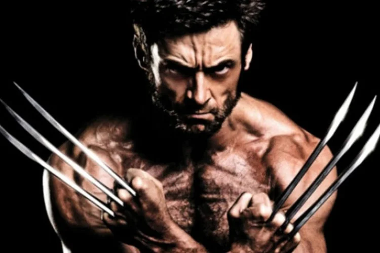 Wolverine (Divulgação/Divulgação)