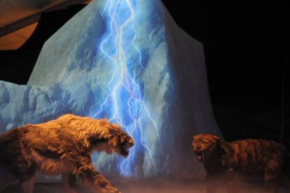 Exposição dos "Gigantes da Era do Gelo" abre em junho, na Alemanha