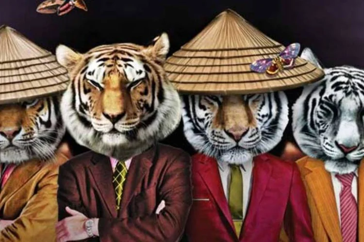 Ilustração - Tigres asiáticos (Michell Lott/EXAME.com)