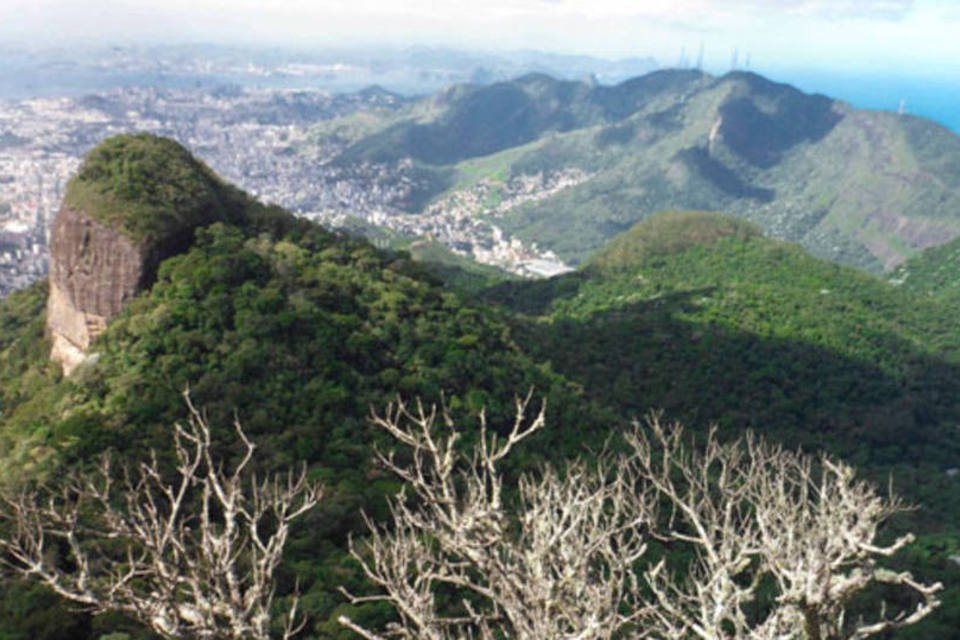 Bombeiros resgatam 2 turistas na Floresta da Tijuca, no Rio