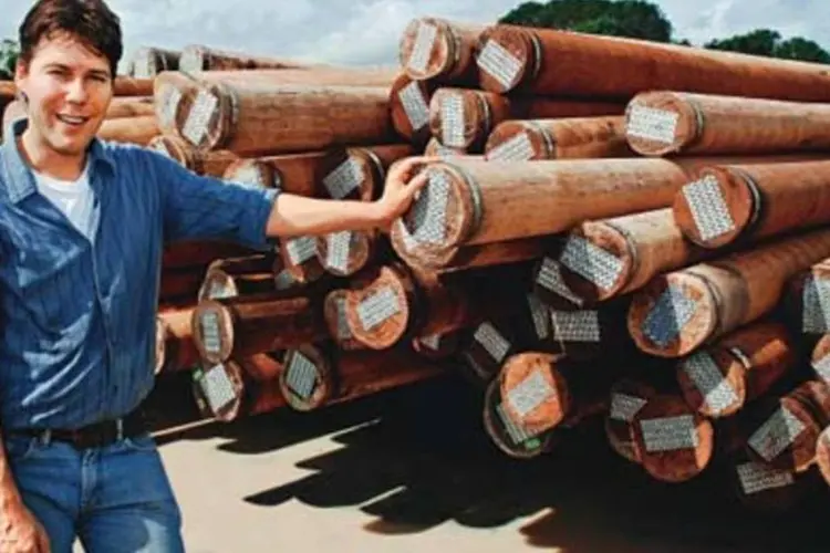 Tim van Eldik, da Precius Wood: a madeira certificada vale até 15% mais (.)