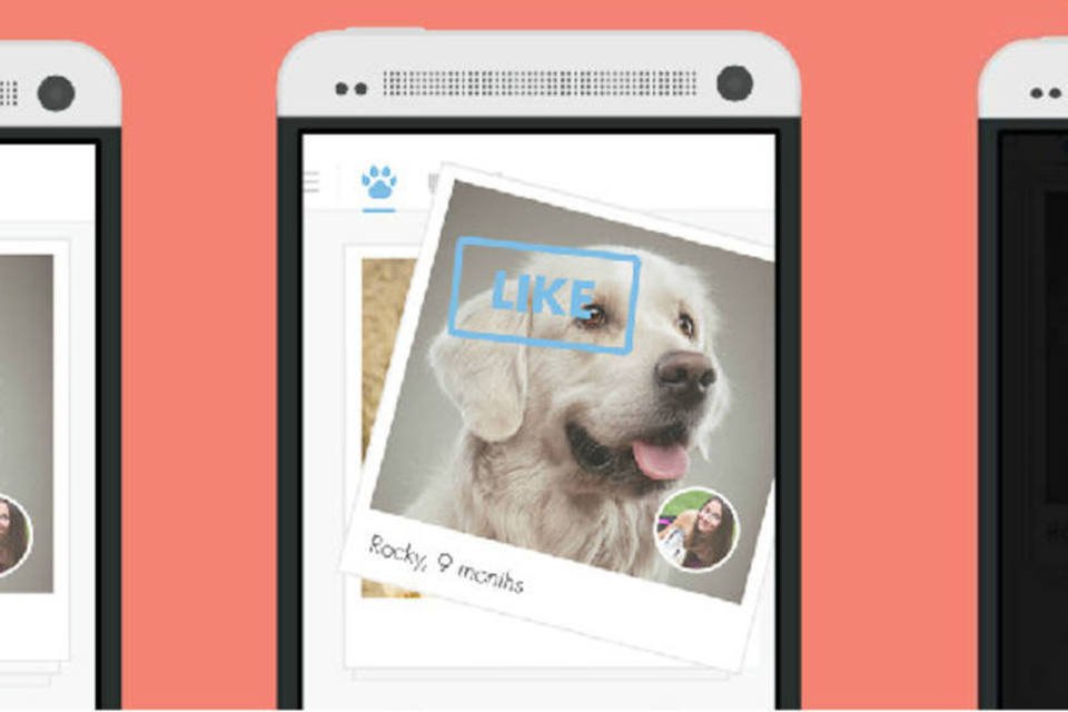 Ache um par para seu cão no Tindog, o Tinder para cachorros