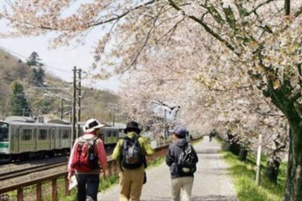 Japão celebra florescer das cerejeiras um ano depois do tsunami