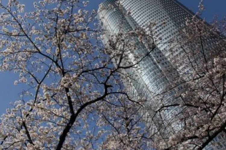 Objetivo é alcançar em 2020 uma redução das emissões de CO2 da capital japonesa de 25% em relação a 2000. (.)