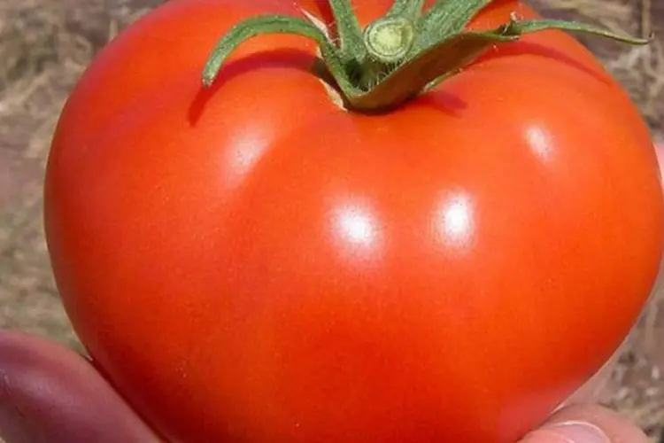 
	Os cinco itens com maiores influ&ecirc;ncias negativas no indicador comp&otilde;em a classe dos alimentos, com destaque para o tomate
 (Wikimedia Commons)