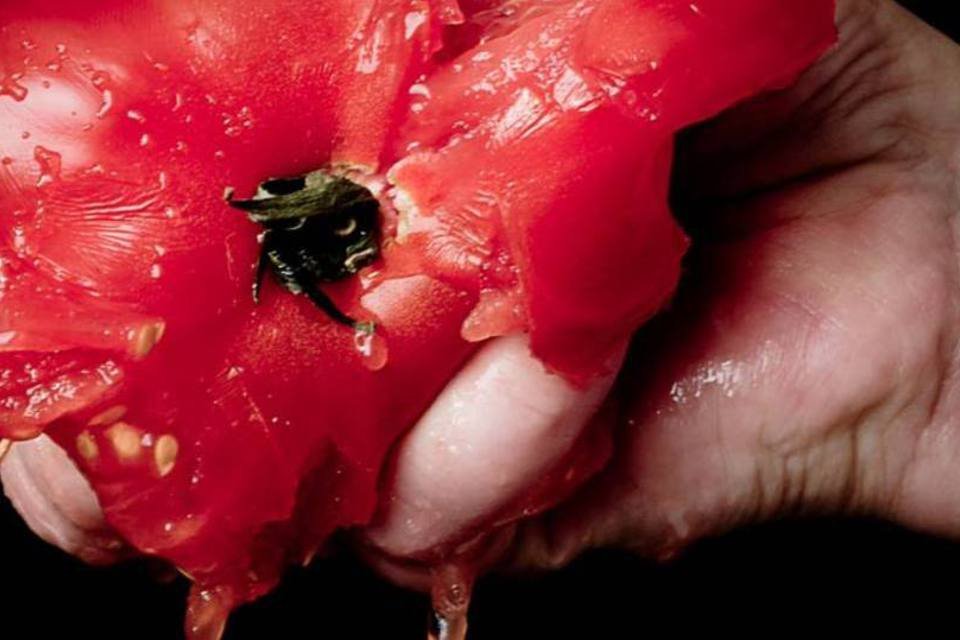 Cientistas geram energia com tomates que iriam para o lixo