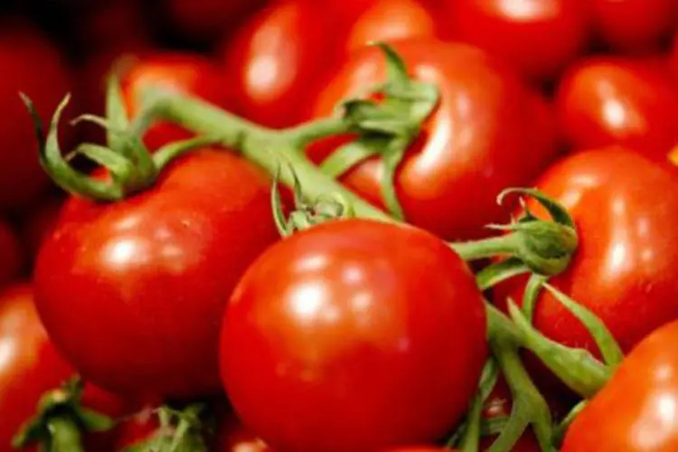 
	IPA:&nbsp;o tomate registrou decl&iacute;nio de 35,79% este m&ecirc;s, na compara&ccedil;&atilde;o com queda de 26,19% no m&ecirc;s passado
 (©AFP/Arquivo / Odd Andersen)
