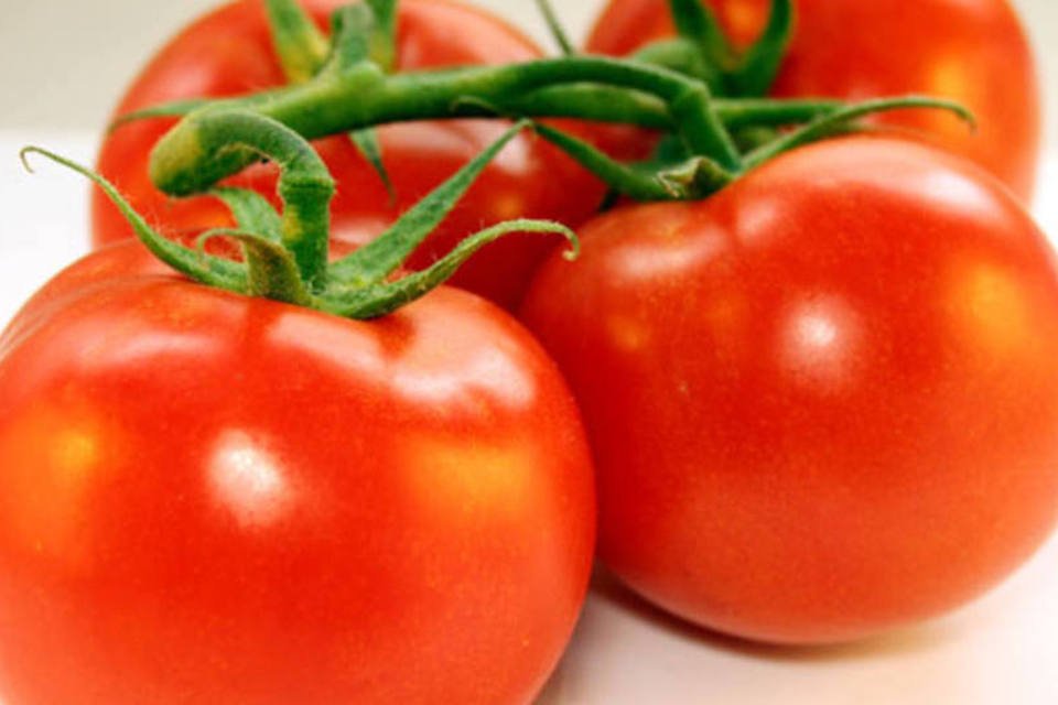 Estudo planeja viabilizar cultivo de tomates no Espaço