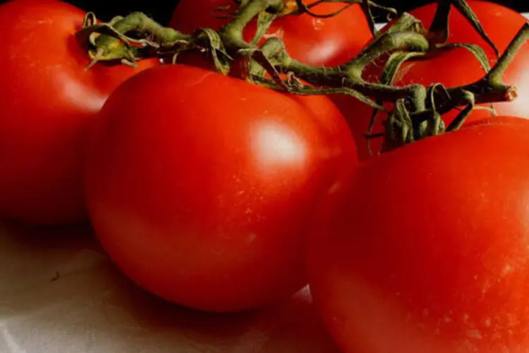 
	Em 12 meses at&eacute; mar&ccedil;o o pre&ccedil;o do tomate subiu 122,1%, segundo o IBGE, e agora come&ccedil;a a cair
 (Hedwig Storch/Wikimedia Commons)
