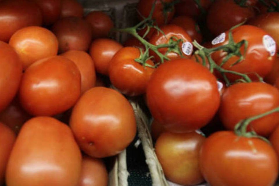 Preços do tomate tendem a cair em maio, prevê analista