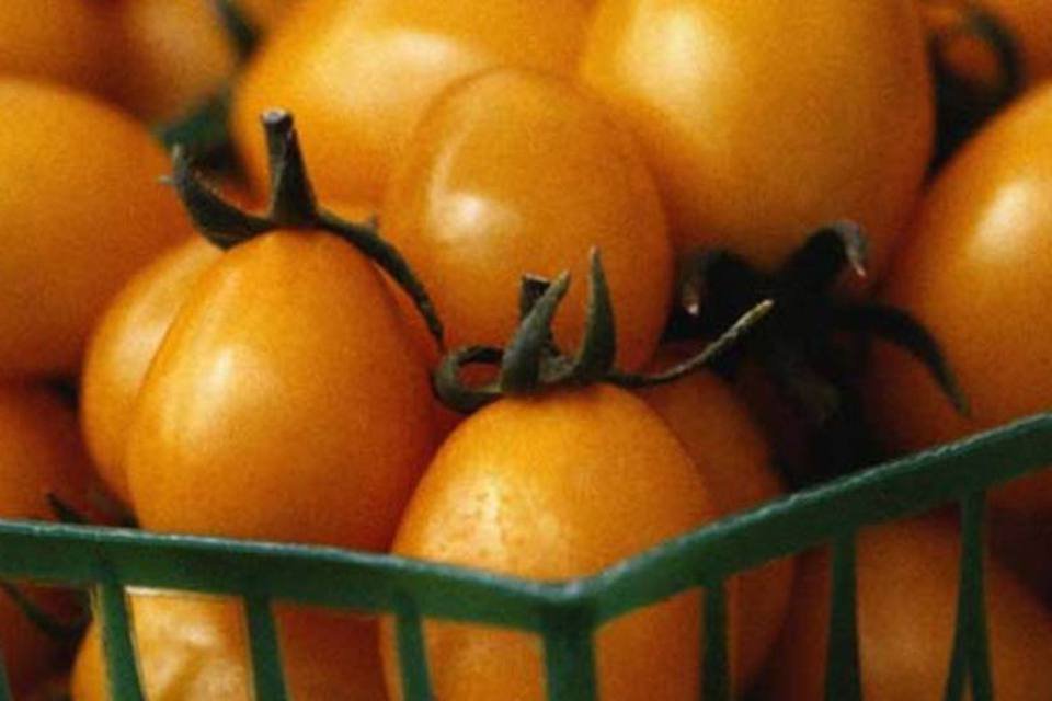 Austríacos deixam de comprar pepinos, tomates e beringelas