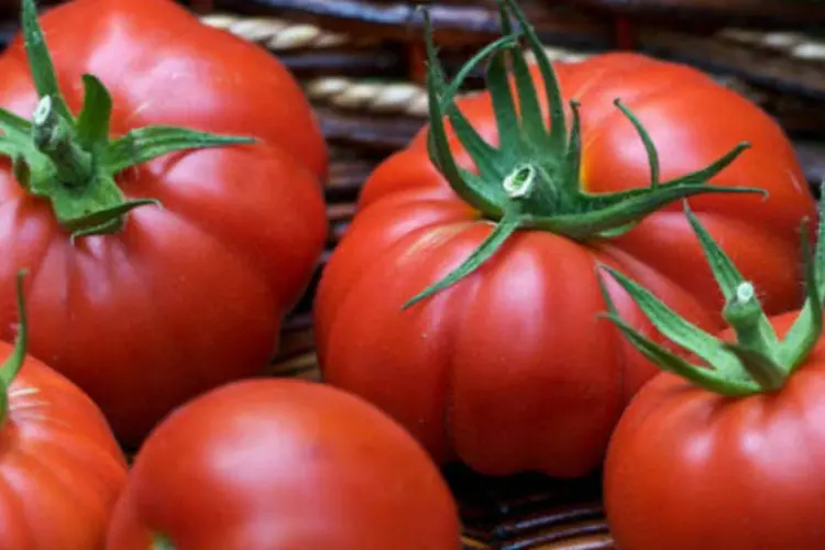 
	Tomates: em janeiro, o tomate no atacado caiu 18,80% ante o m&ecirc;s anterior, enquanto a batata inglesa teve defla&ccedil;&atilde;o de 18,78%
 (Susy Morris/Creative Commons)