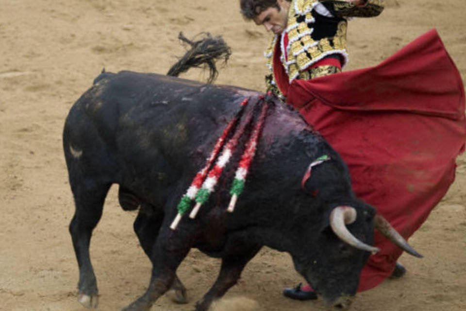 Ativistas protestam contra morte de touro na Espanha