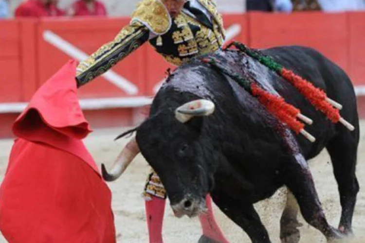 
	O toureiro espanhol Daniel Luque durante uma apresenta&ccedil;&atilde;o em Nimes: essa &eacute; a principal cidade francesa com touradas
 (Sylvain Thomas/AFP)