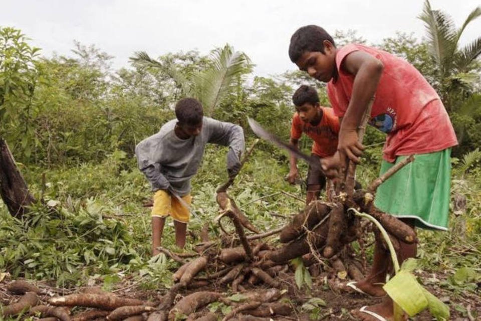 Trabalho infantil cresce 4,5% em um ano no Brasil, diz IBGE