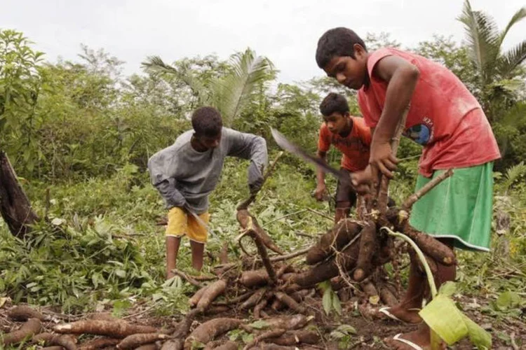 
	Crian&ccedil;as trabalhando: o n&iacute;vel de ocupa&ccedil;&atilde;o das pessoas entre 5 e 17 anos cresceu em todas as regi&otilde;es
 (Sergio Moraes/REUTERS)