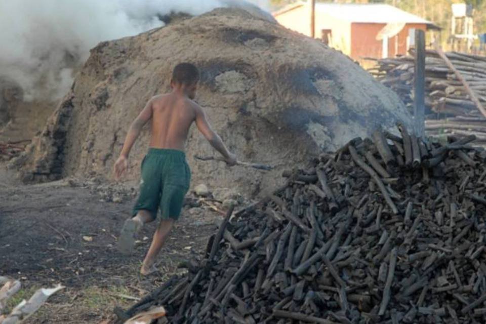 Carvão produzido por trabalho escravo abastece churrascarias