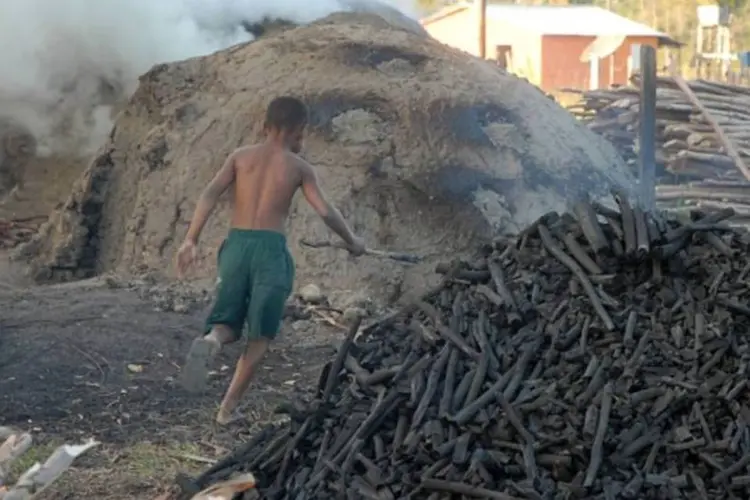 Trabalho Infantil, criança em uma carvoaria (Arquivo ABr/Agência Brasil)