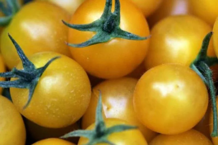 Foram identificados produtos que contêm ingredientes transgênicos sem que houvesse informação no rótulo sobre essa composição (Getty Images)