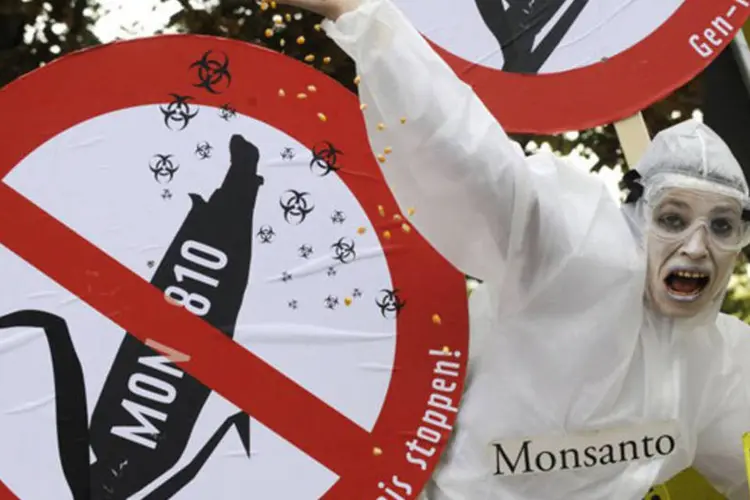 
	Ativista protesta contra Monsanto: em 2012, segundo o Minist&eacute;rio da Agricultura, 88% do milho e 93% da soja plantados nos Estados Unidos eram geneticamente modificados
 (AFP/ Nigel Treblin)