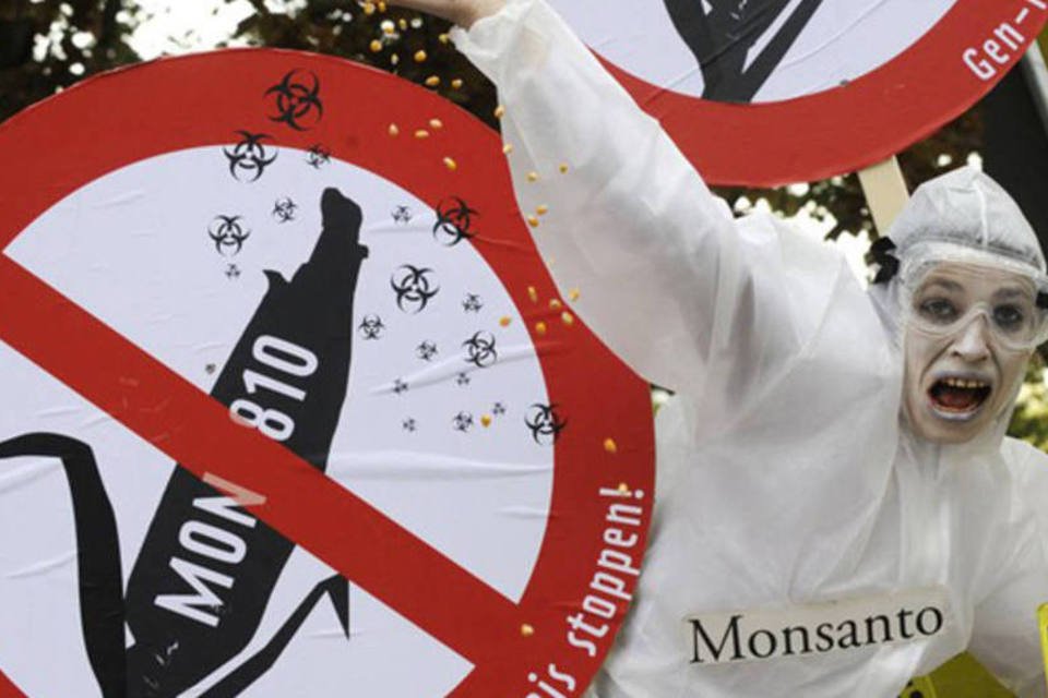 Patentes de transgênicos da Monsanto sofrem processo nos EUA