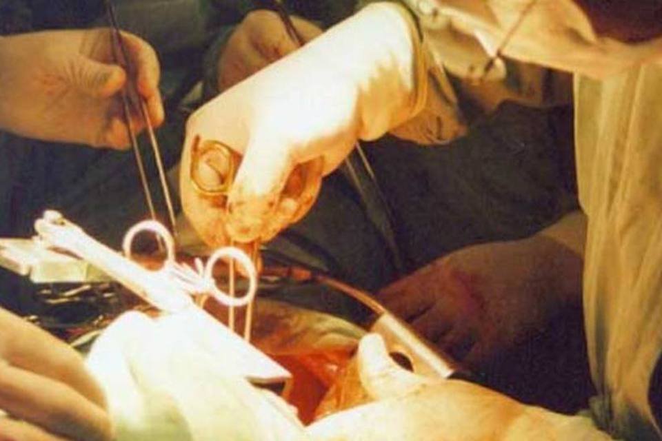 Governo quer ampliar número de transplantes de órgãos e medula