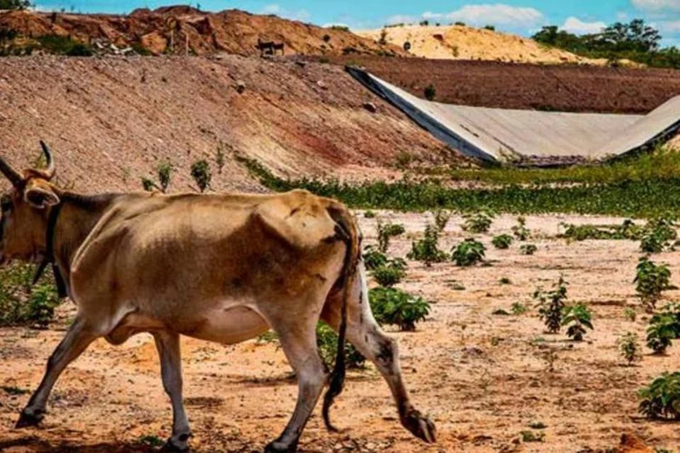 
	Transposi&ccedil;&atilde;o do Rio S&atilde;o Francisco:&nbsp;os ind&iacute;cios de irregularidades foram identificados durante levantamento feito pelas empresas supervisoras.
 (Marcelo Curia/EXAME.com)