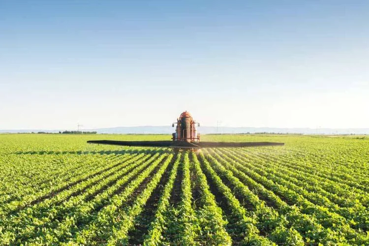 
	O ministro do Desenvolvimento Agr&aacute;rio (MDA), Patrus Ananias afirmou que esse n&uacute;mero &eacute; 20% maior que o do safra anterior
 (Thinkstock)