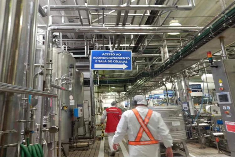 
	IPP mede a evolu&ccedil;&atilde;o dos pre&ccedil;os de produtos na porta da f&aacute;brica, sem impostos e fretes, de 23 setores da ind&uacute;stria de transforma&ccedil;&atilde;o
 (Tatiana Vaz/EXAME.com)