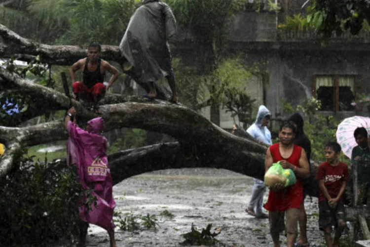 Moradores tentam desbloquear estrada após a queda de uma árvore provocada pelo tufão Bopha, que atingiu a cidade de Tagum, no sul das Filipinas   (REUTERS / Stringer)
