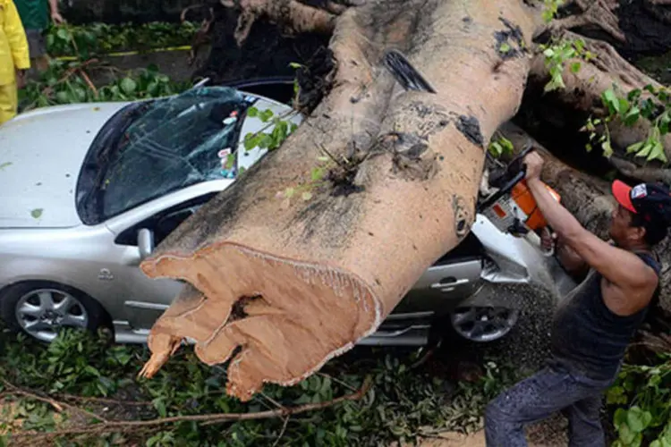 Homem tenta remover árvore que caiu sobre um carro durante passagem do tufão Rammasun, nas Filipinas (REUTERS/Mark DeMayo)