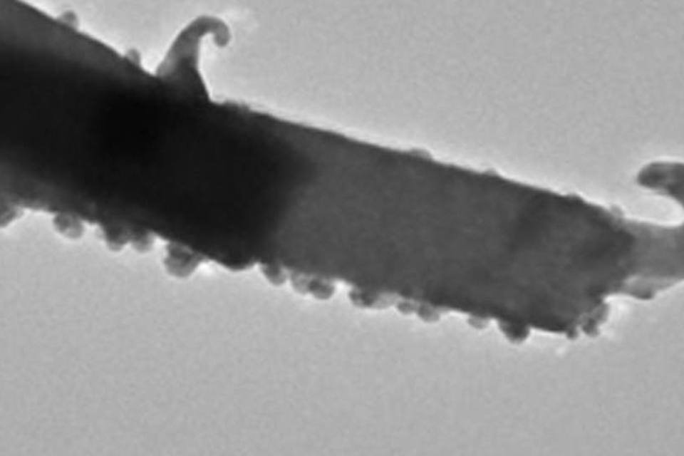 Unesp desenvolve nanomaterial contra superbactéria