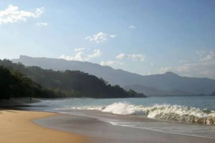 Ubatuba: Litoral da região sudeste abriga a maior quantidade de espécies ameaçadas (.)