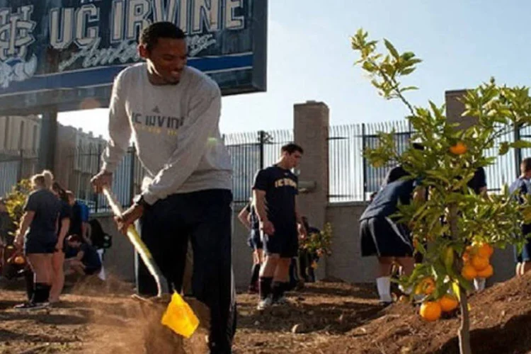 Educação pelo exemplo (Divulgação/ UC Irvine)