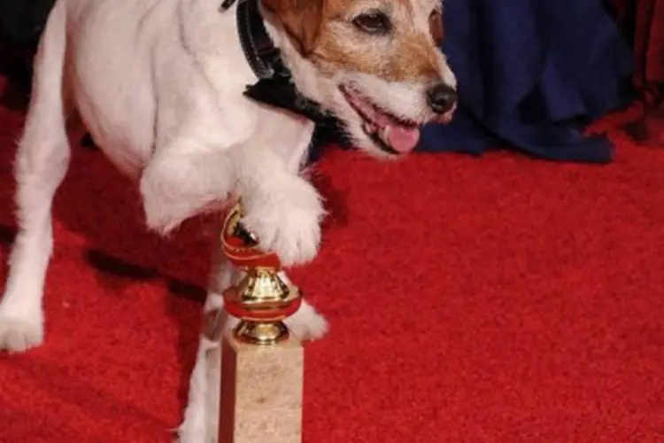 Uggie posa com o Globo de Ouro de melhor filme que "O Artista" conquistou no domingo
 (Robyn Beck/AFP)