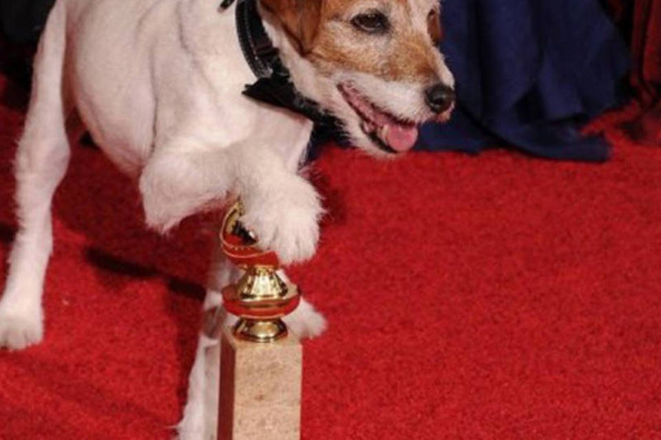Cão de 'O Artista' é indicado a prêmios em Hollywood
