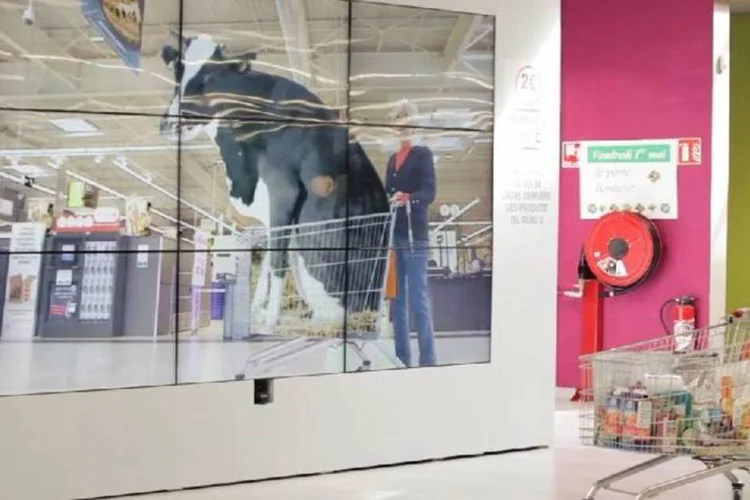 
	Pessoas que compravam produtos l&aacute;cteos podiam ver uma vaca gigante em seu carrinho
 (Reprodução)