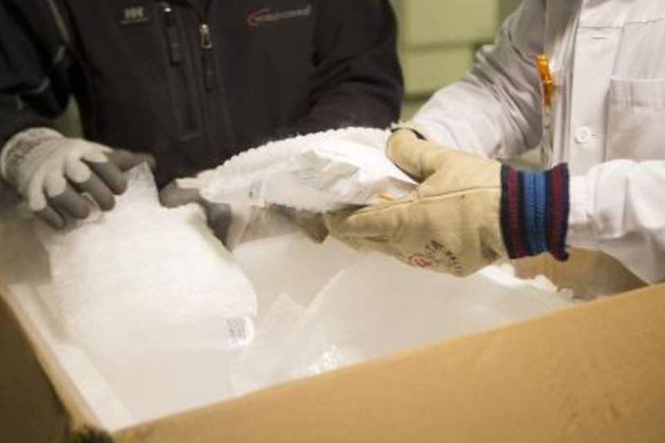 Suíça inicia testes de vacina contra ebola