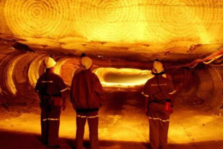 
	Commodities: j&aacute; os dez maiores bancos do mundo reduziram seu pessoal de commodities neste ano para o menor n&iacute;vel desde pelo menos 2009&nbsp;
 (EXAME.com/Site Exame)