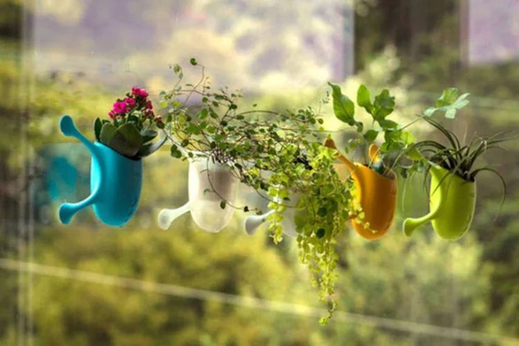 Vaso com ventosas mágicas (Divulgação)